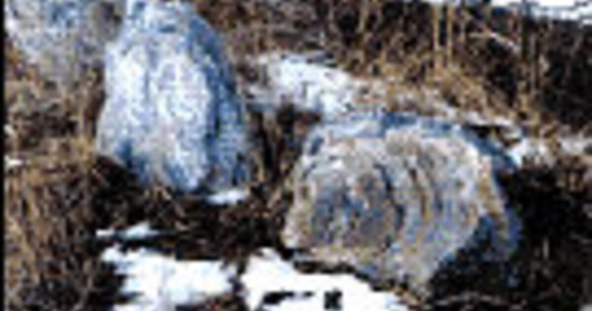 The History And Geology Of Rocks And Fossils In Helena Montana Amnh