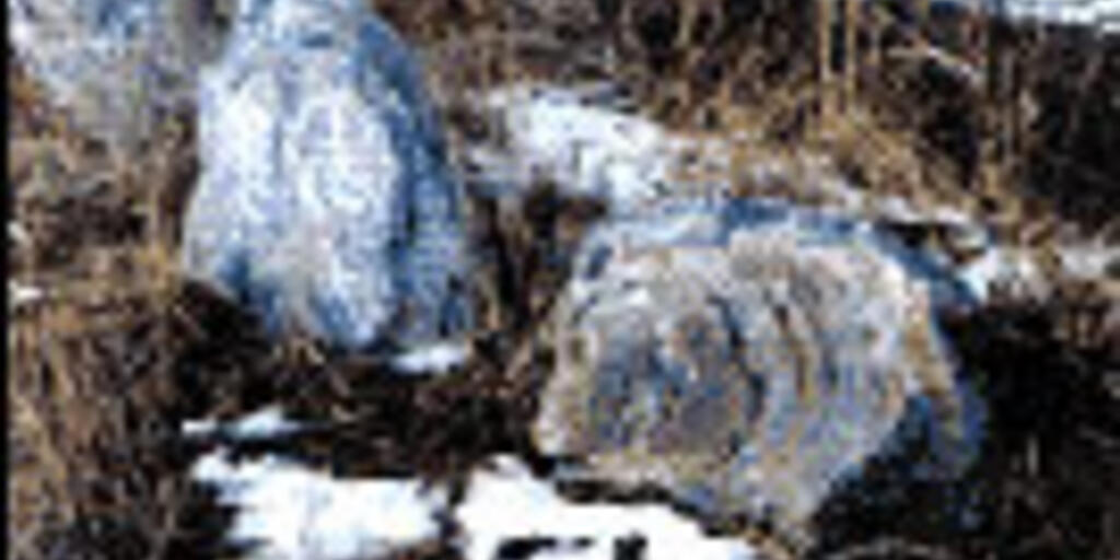The History And Geology Of Rocks And Fossils In Helena Montana Amnh