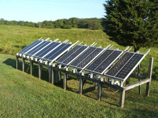 solar collector used in botanical experiment on trees