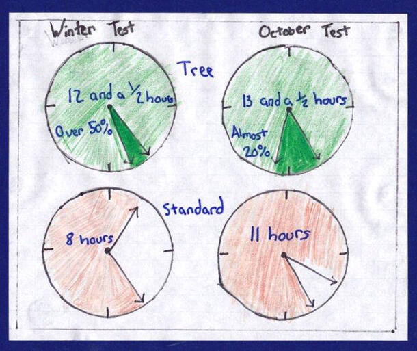 Four hand-drawn spherical charts indicating two tests.