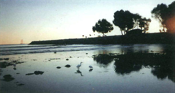 Doheny tide pool