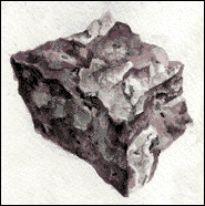 A black-and-white sketch of a mottled square rock specimen with the caption "Agnathid fish scales from the Harding Sandstone Formation."