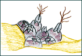 A hand-drawn picture of barnacles feeding.