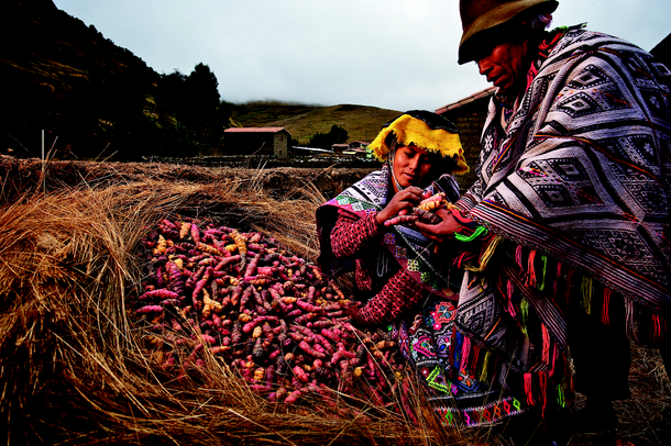 Peru Potato Jim Richardson