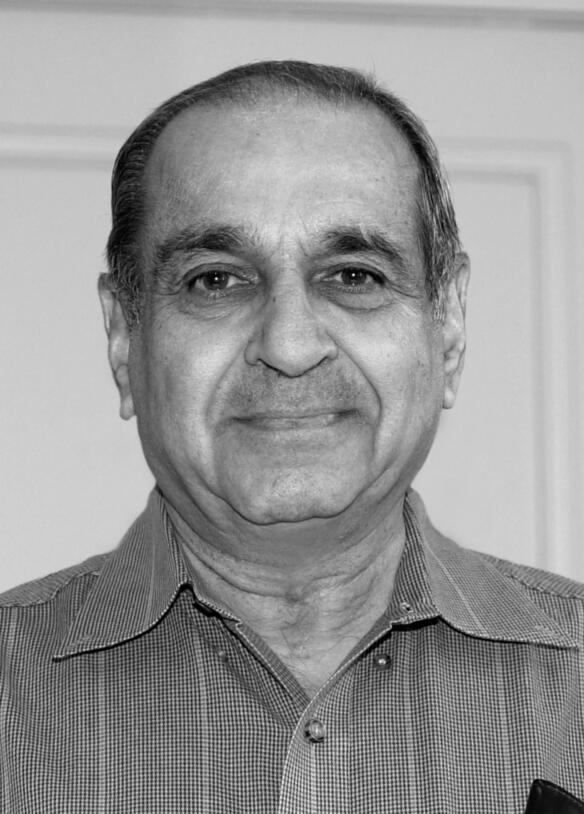 Headshot of scientist Kumar Krishna.