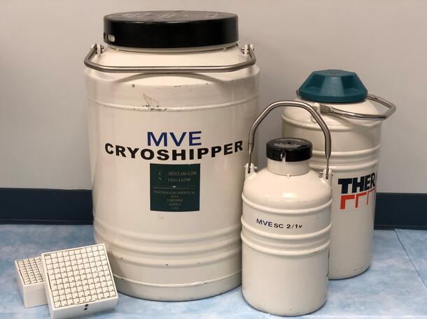 Liquid nitrogen dry shippers of various sizes and Cryo storage boxes
